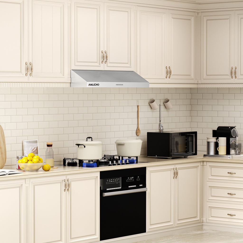 30" Under Cabinet Range Hood, 250 CFM Convertible (Ducted/Ductless), Stainless Steel, LED Light, Charcoal Filter, 5-Layer Baffle Filter, Easy Clean